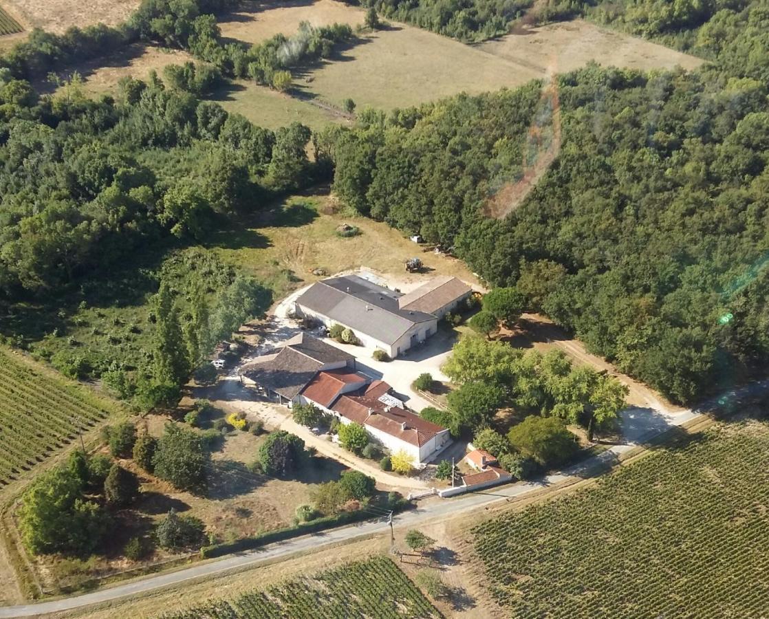 Les Chambres D'Hotes De Chateau Vieux Robin Bégadan Exteriör bild